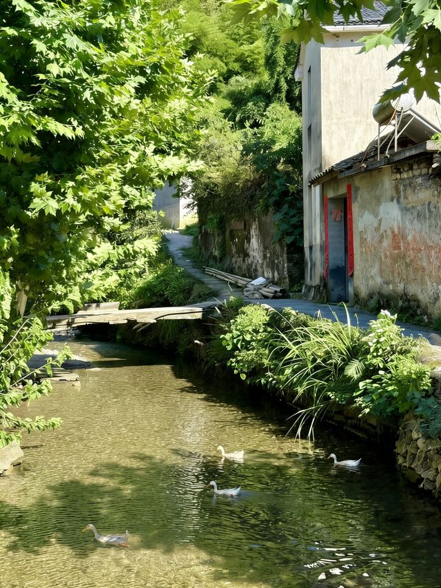 千島湖在我心裡一直是 “躺平度假天花板”