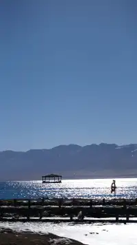 青海日記：不踩雷西寧三件套