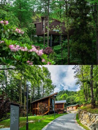 Ningbo's secret summer retreat at 888 meters elevation, a forest Villa where you open the window to sea of clouds and starry sky