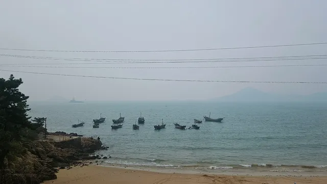 崂山太清線|一日遊攻略 & 吸貓聖地 崂山太清線|一日遊攻略 & 吸貓聖地