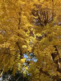 德陽｜石刻公園