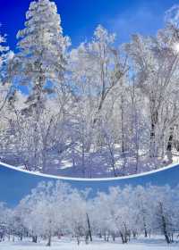 在雪谷發現這家寶藏民宿!老闆手藝絕了