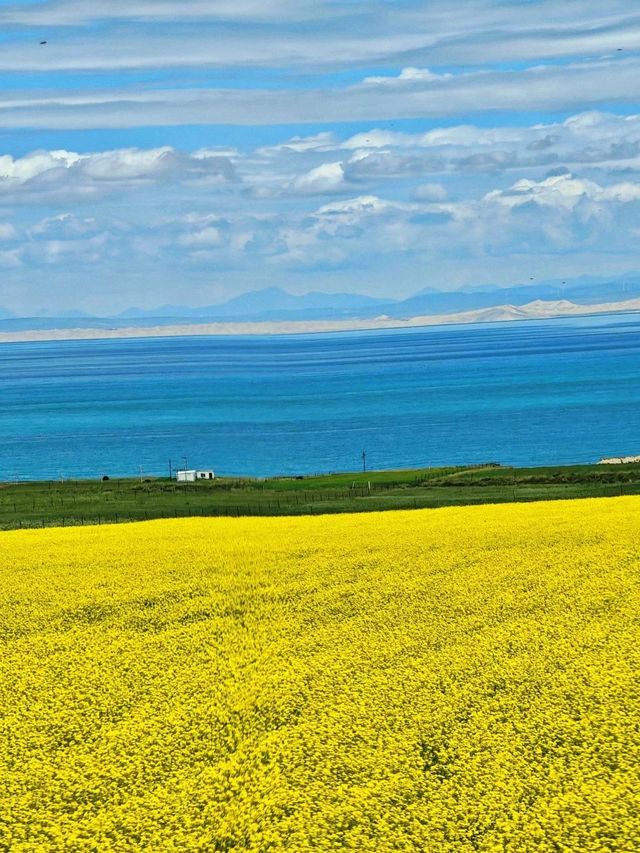 西寧等地7天|冬天這樣玩才夠爽 西寧等地7天|冬天這樣玩才夠爽