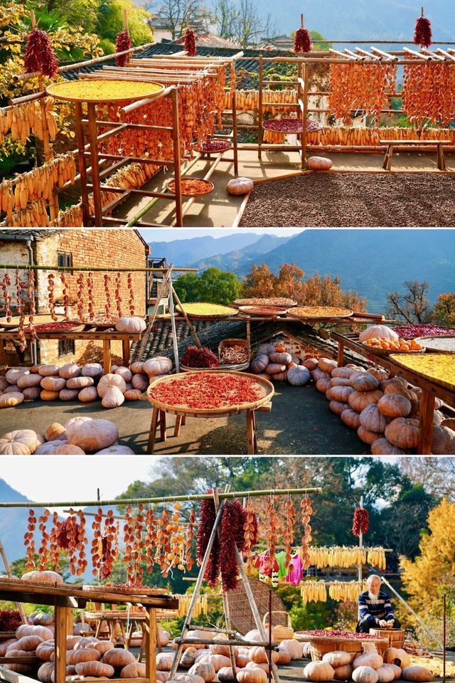 12月去一次「中國最美鄉村」吧！最後一抹秋色在等你。