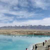 青海秘境｜送你一朵翡翠色的小紅花大柴旦翡翠湖全攻略