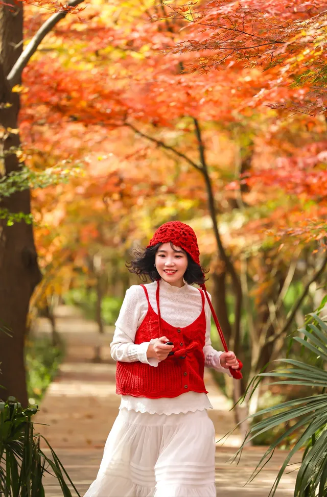 12·1南京棲霞山紅楓進入觀賞期～附路線～