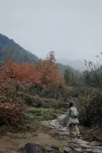 江西萍鄉/武功山一天正穿