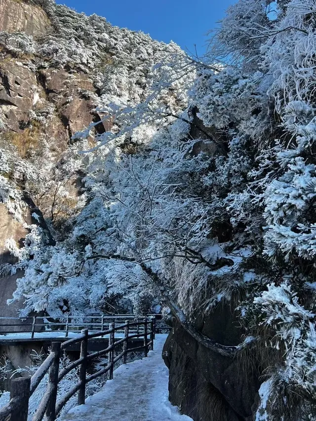 去了郴州3次,莽山看雪就應該這麼玩!! 去了郴州3次,莽山看雪就應該這麼玩!!