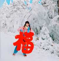 5天哈爾濱-亞布力-雪鄉超全攻略