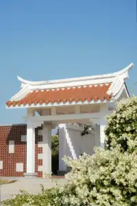 在廈門馬銮灣一起走三角梅花路啦!