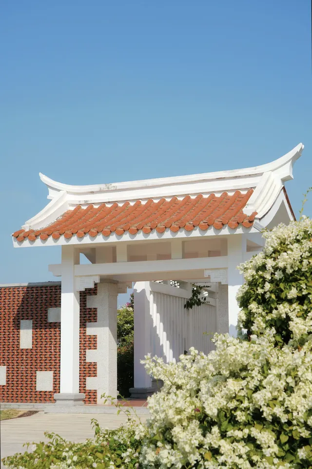 在廈門馬銮灣一起走三角梅花路啦! 在廈門馬銮灣一起走三角梅花路啦!