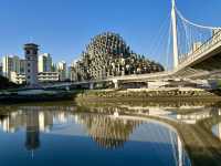 無懼秋老虎,打卡「千樹」之城,歷史的變遷,不定期更新