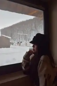 是誰在禾木住進了夢中情屋人均300+