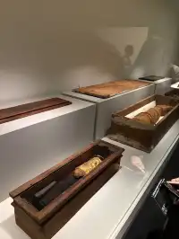 貓咪木乃伊你有看過嗎?