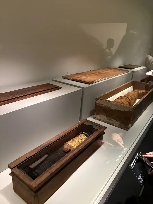 貓咪木乃伊你有看過嗎? 貓咪木乃伊你有看過嗎?