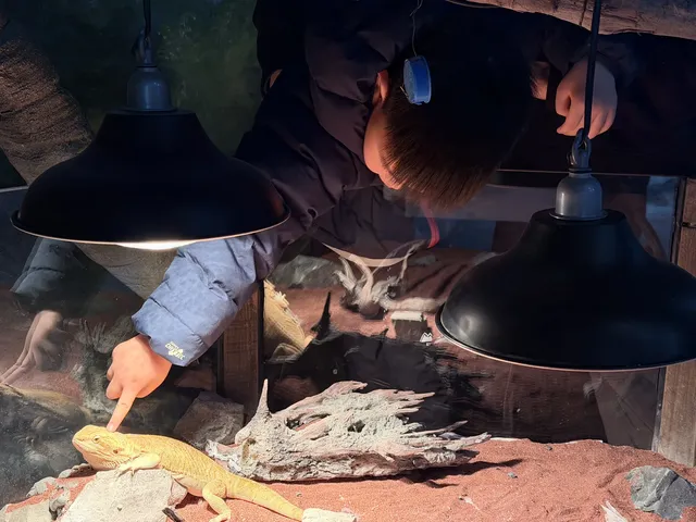 舟山-普陀山 還願遛娃之旅