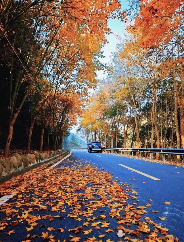 武義牛頭山｜現實版仙俠祕境美到失語