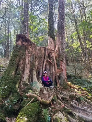【勇闖谷關七雄之首！八仙山】
