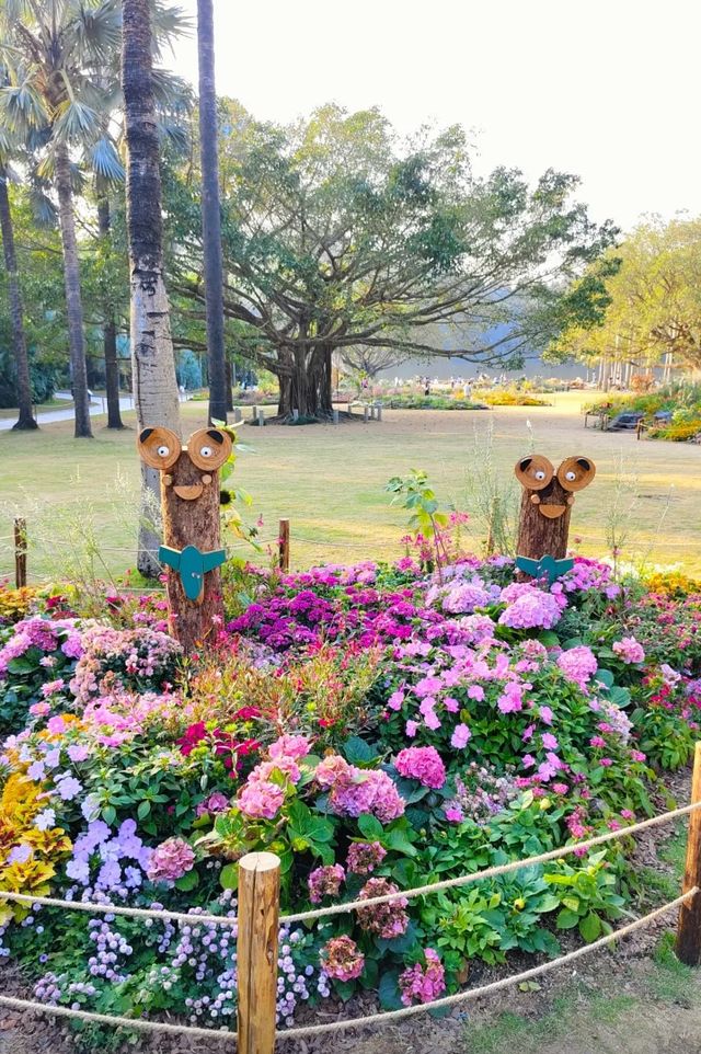 深圳仙湖植物園|遛娃寶藏地打卡賞花絕佳去處 深圳仙湖植物園|遛娃寶藏地打卡賞花絕佳去處