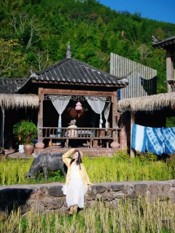 ชาผู่เอ๋อร์นาเคลี่: ช่วงเวลาแห่งการเยียวยาและผ่อนคลายที่ซ่อนเร้นอยู่ตามเส้นทางค้าชาโบราณ