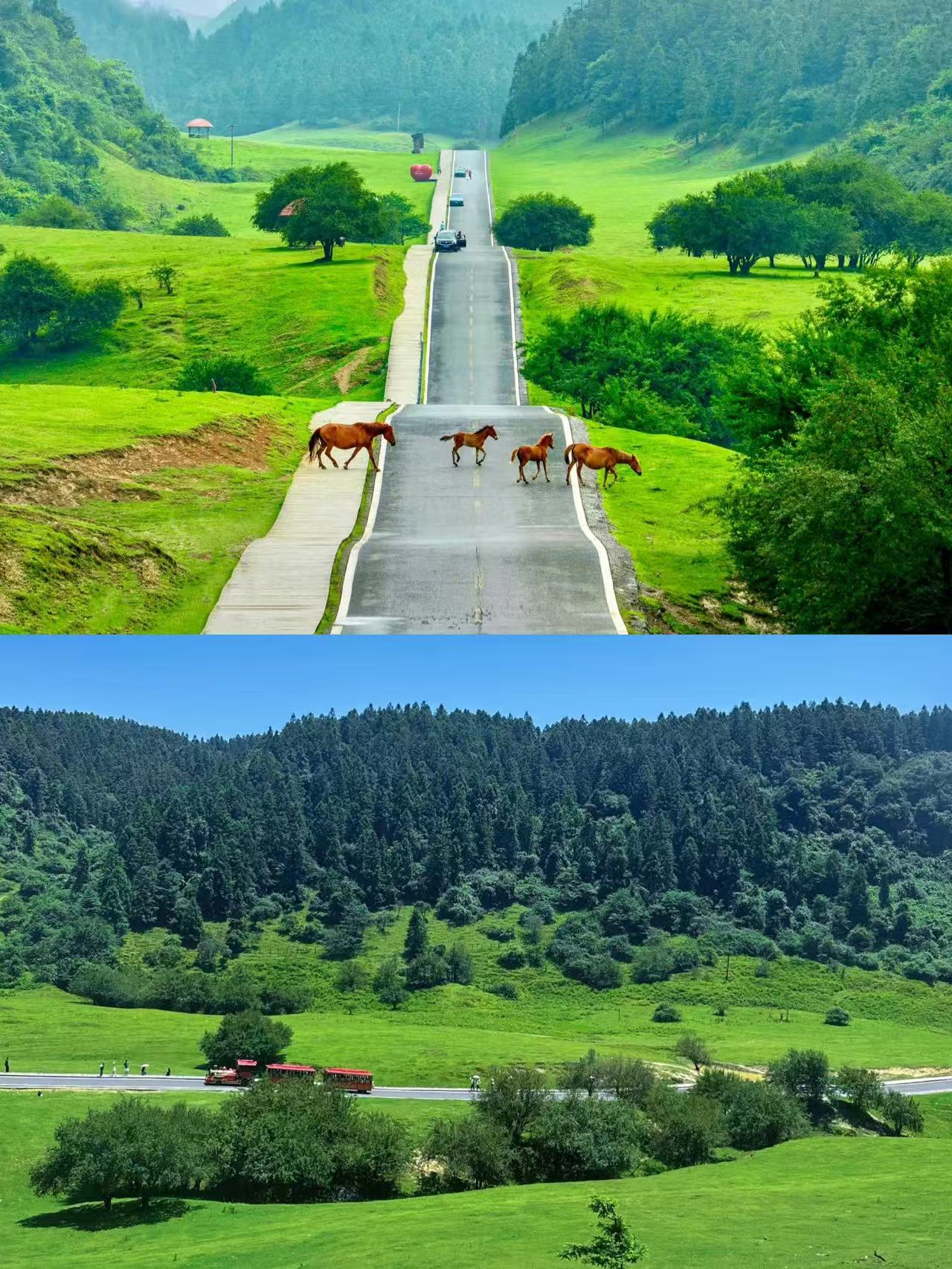 충칭 2일 1박 카르스트 경관과 묘족 풍정 올인원 패키지