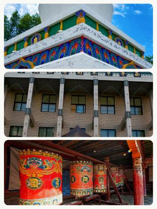 推薦處避暑地，本地人都在樹下打盹