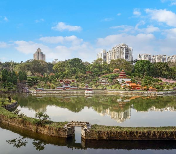 この庭園は写真の枠を超える | Trip.com 深セン