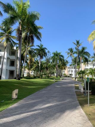 Paradise with Peacocks and Stunning Surroundings