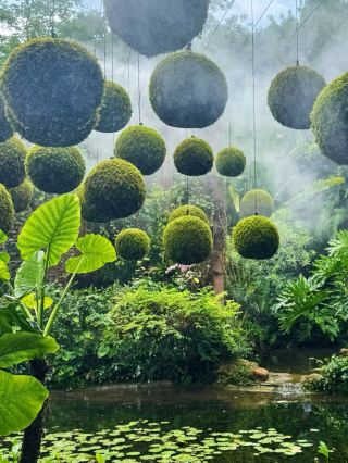 Bucket List Destinations: Yinsheng Botanical Garden