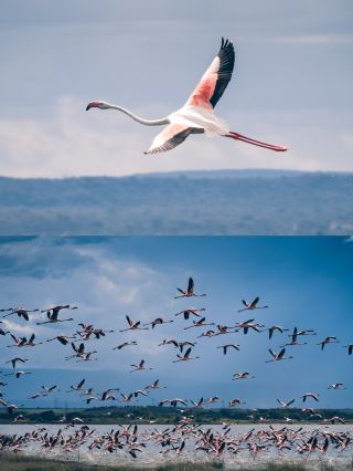 Summer 11-day Madagascar guide is here