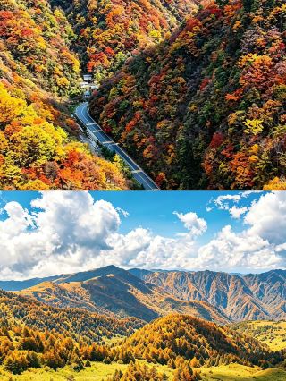 Avoid the crowds this Mid-Autumn Festival & National Day: 3–4 day autumn foliage trip to Shennongjia from Xi'an