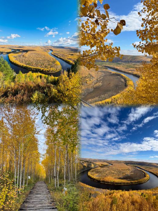 Heilongjiang Fall Foliage Guide: A "Five-Color Mountain" Hidden Gem Rivaling Xinjiang and Switzerland