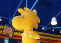 Planet Snoopy at Kings Island