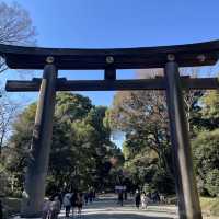 東京最有人氣的宗教勝地 ─明治神宮