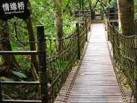 Yanoda Tropical Rain Forest Park 