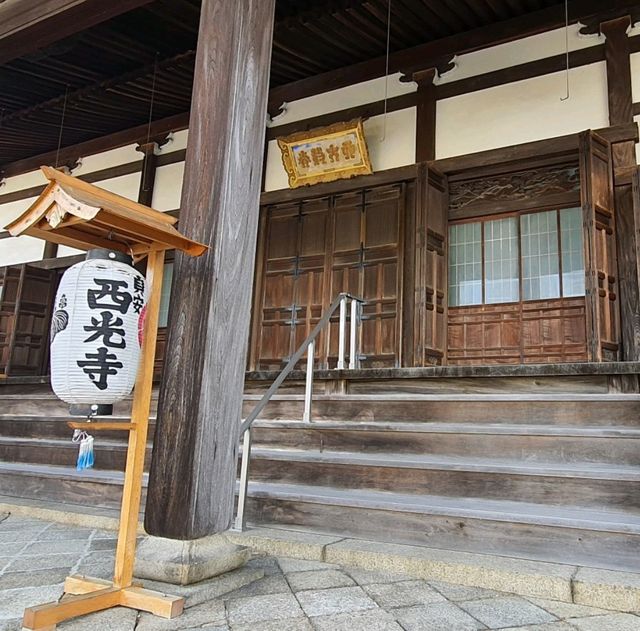 十五世紀織田信長所創建的佛寺【西光寺】