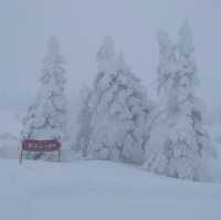 日本三大樹冰觀賞點之一 「森吉山樹冰」