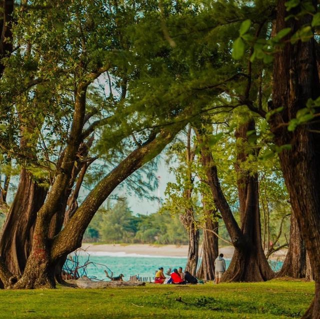 หาดในยาง หาดสวยใกล้สนามบินภูเก็ต