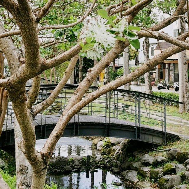 花蓮市中心的生態小溪