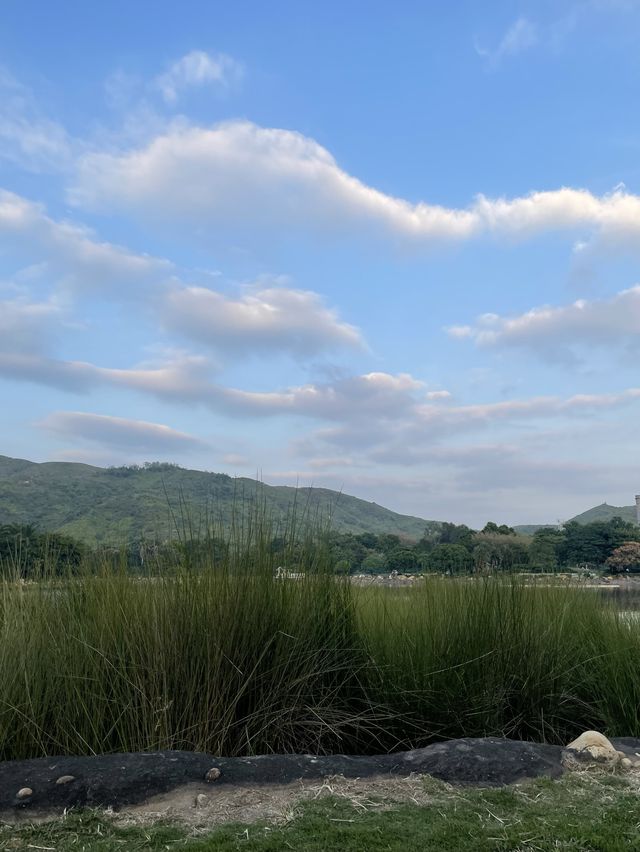 你唔係未黎過呢到野餐吧🍔🌭🍣🍘🍤🍰🍪？