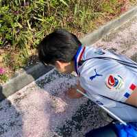 ⚽️ 커플끼리 수원을 즐기는 색다른 방법 ⚽️