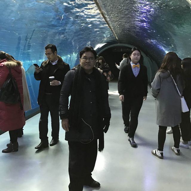 largest aquarium in Asia - Aqua Planet jeju