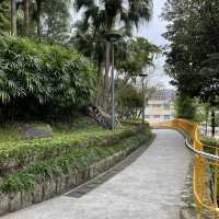 Montanha Russa Park Nature 