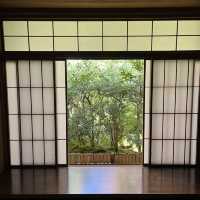 【インスタ映え】京都　瑠璃光院