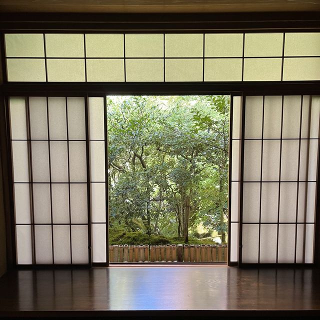 【インスタ映え】京都　瑠璃光院