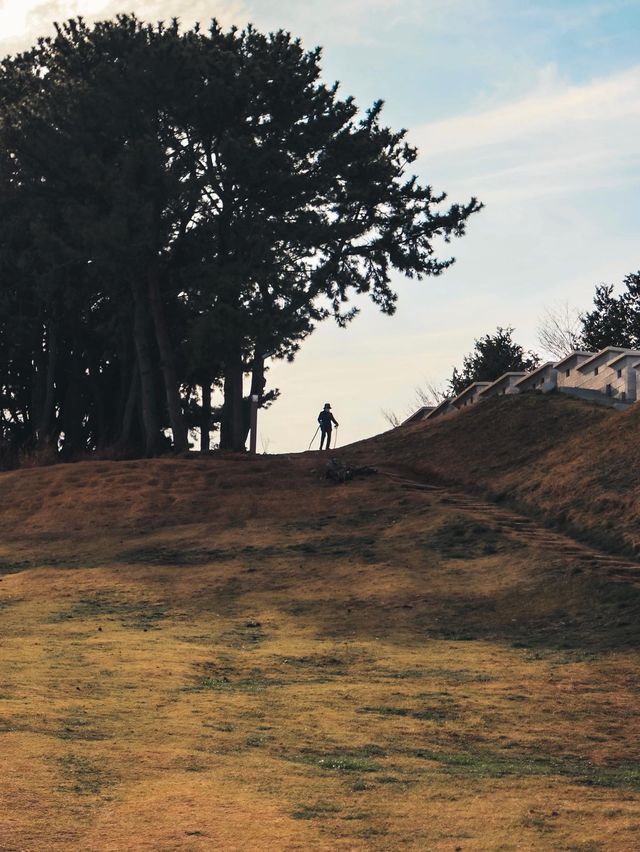 부산에 있는 텔레토비 동산💚