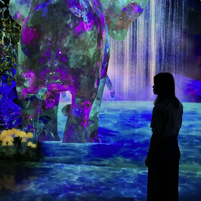 福岡 TeamLab 森林美術館 teamLab Forest Fukuoka - SBI SECURITIES Co., Ltd.