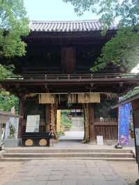【愛媛】ミシュランガイド1つ星の寺院！