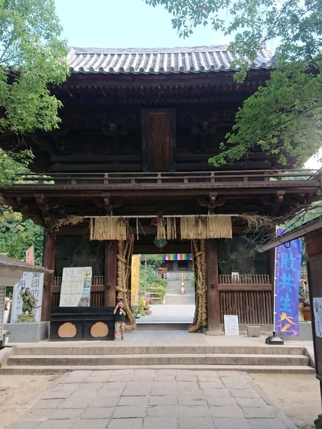 【愛媛】ミシュランガイド1つ星の寺院！