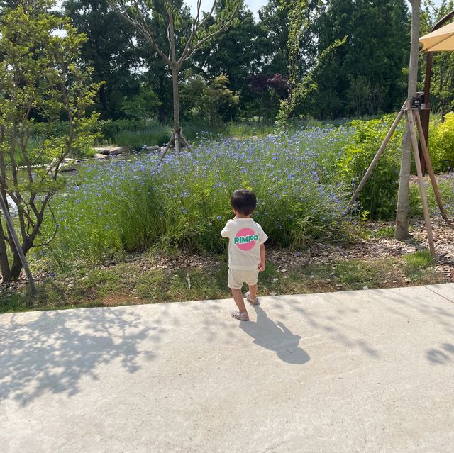 무료개방중인 일월수목원 꽃구경🌸